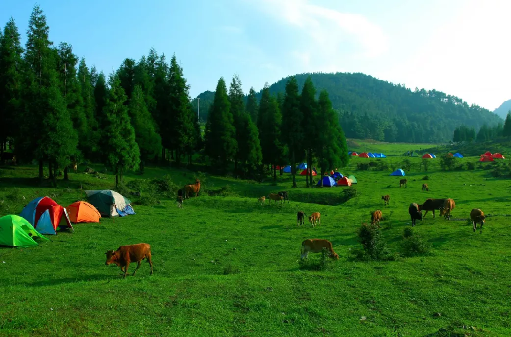 千野草场小编为你推荐必去石柱打卡的旅游景区别急大家可以去哪些景区