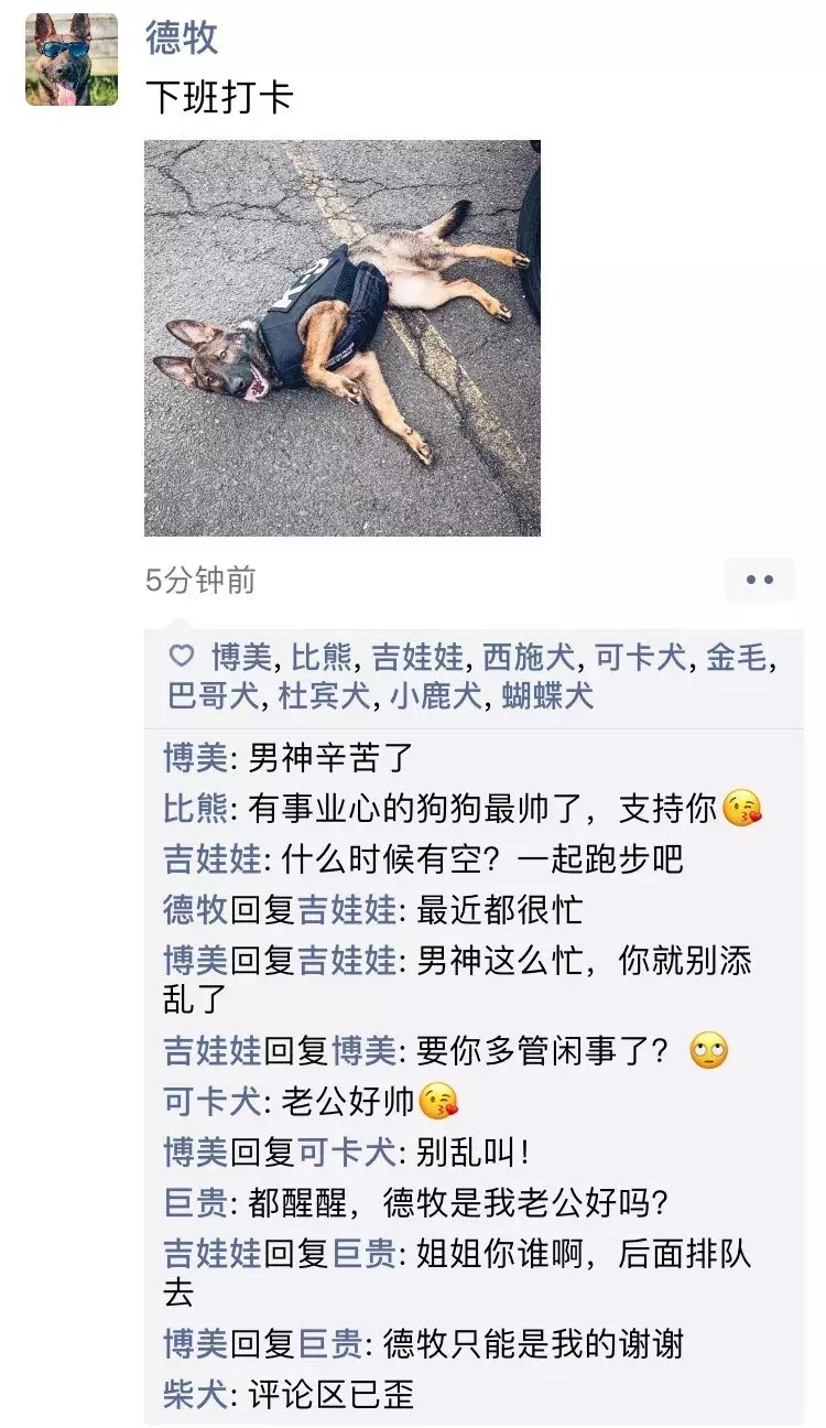 如果狗狗会发朋友圈，是什么样子？