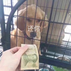 表情包：看到这颗心了吗？丢掉也不给你