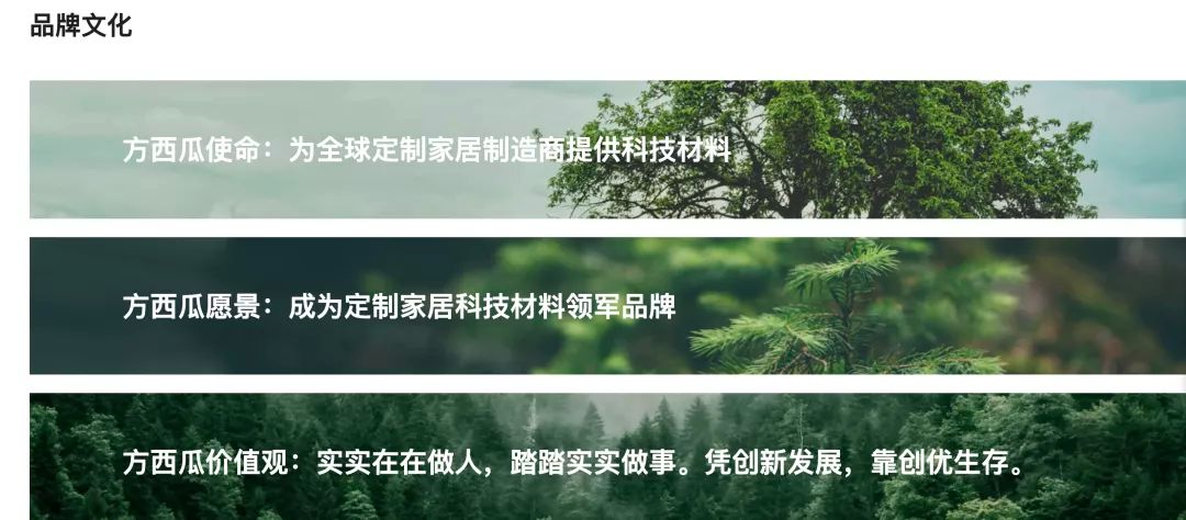 方西瓜官网重磅上线！让我们一起扬帆起航，创赢未来