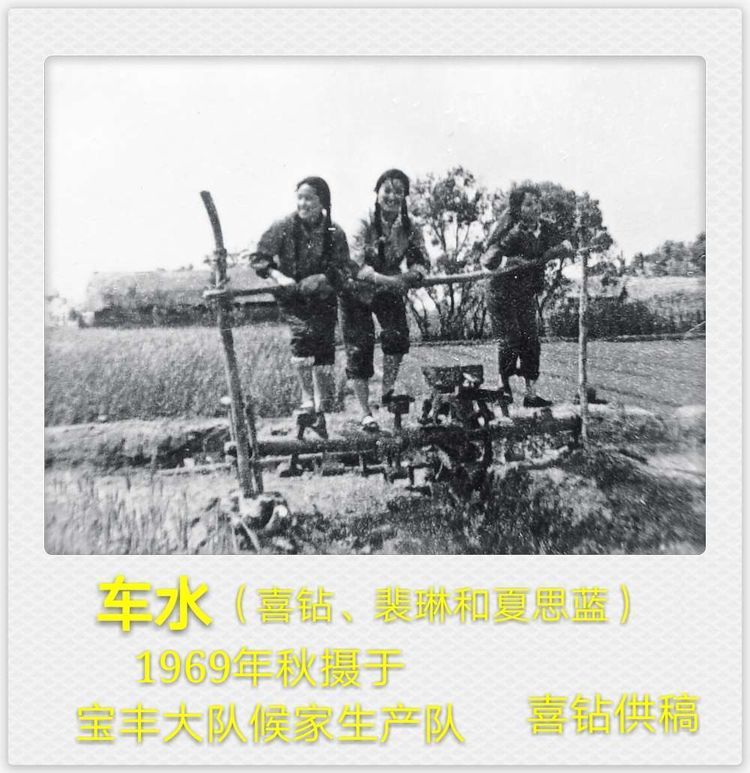 五十三载岁月如歌，黄浦知青再聚首话当年
