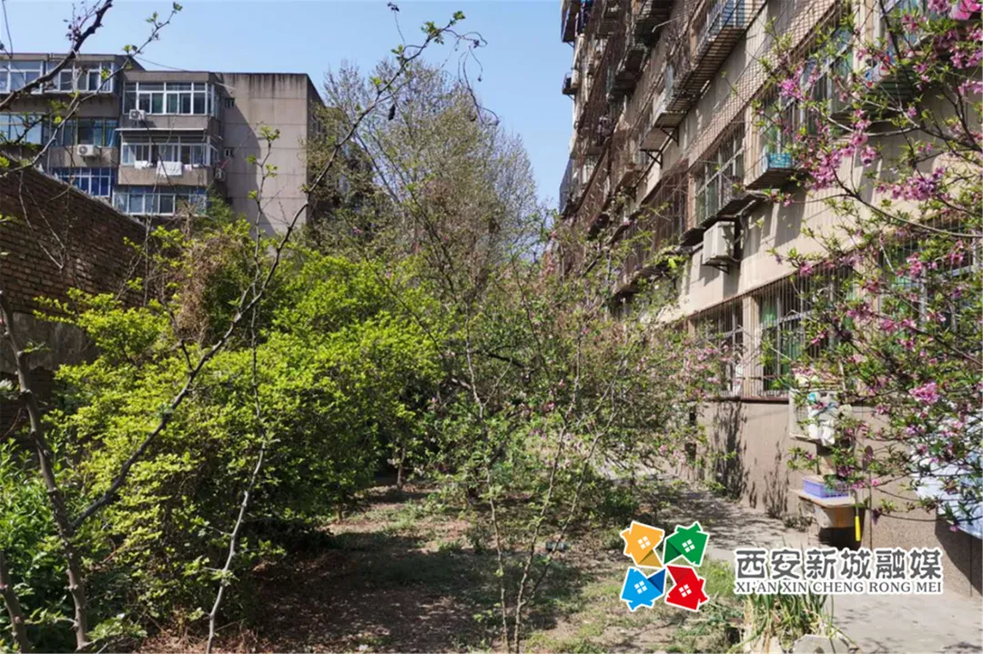 生態宜居住新城 | 延苑小區改造按需“點單”破解居民煩心事