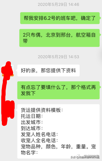 给大家介绍宠物托运的全过程，靠谱的宠物托运应该是怎么样的