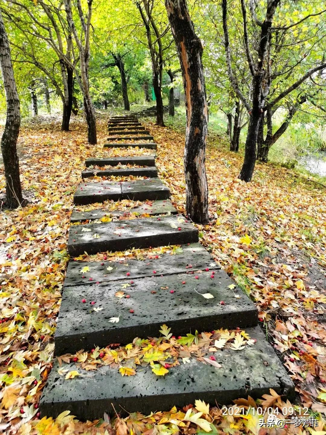 「一梦芳菲」绵绵秋雨，我想你