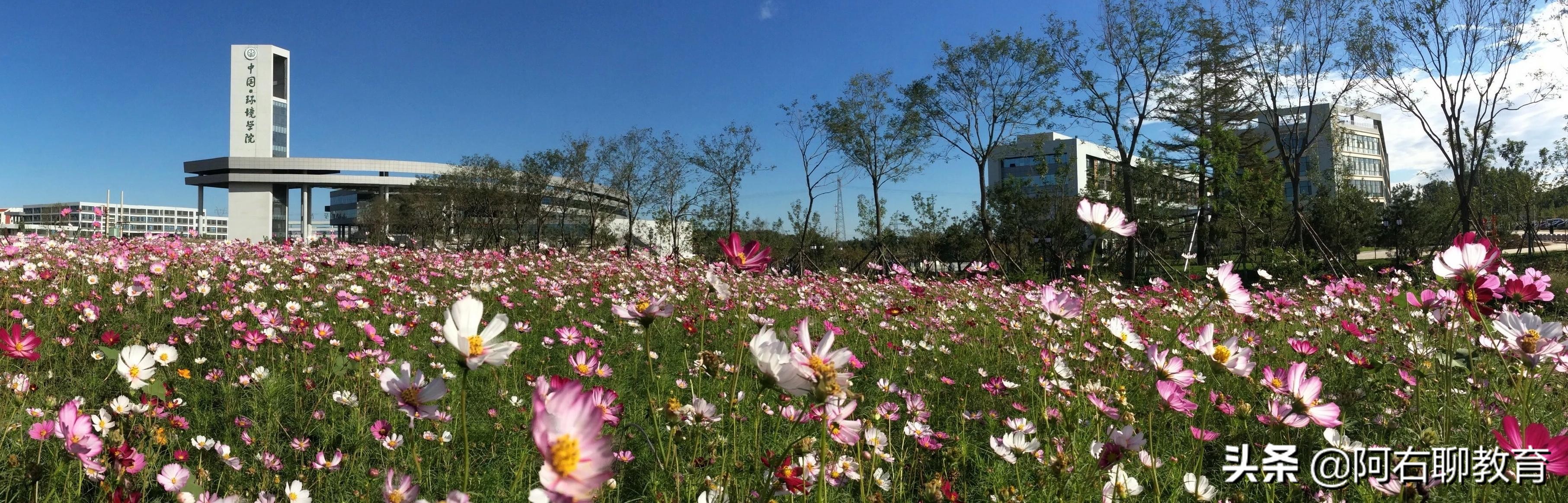 秦皇岛除了燕山大学，还有哪些本土本科高校？