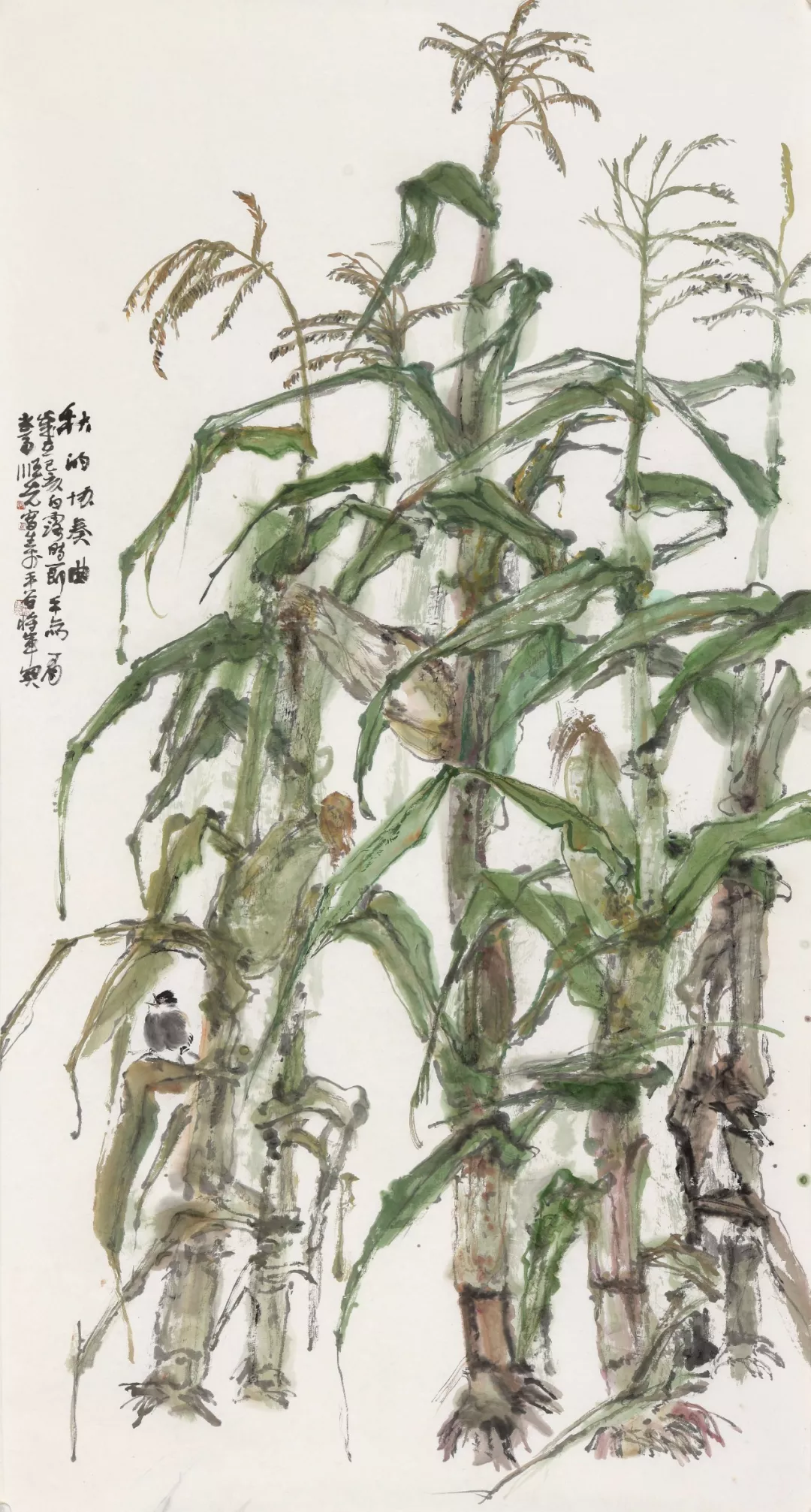 田野畅想曲 | 马顺先的玉米写生