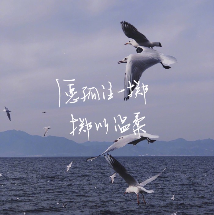 我一生都在漂泊，前半生是为了遇见你，后半生是为了忘记你