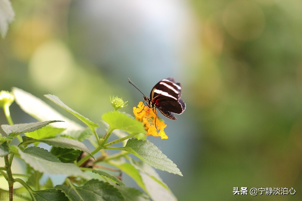 名人名言：人生真正的幸福和欢乐浸透在亲密无间的家庭关系中