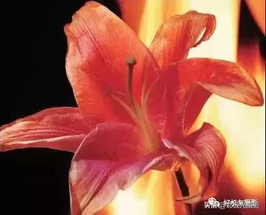 构图取景的10大禁忌