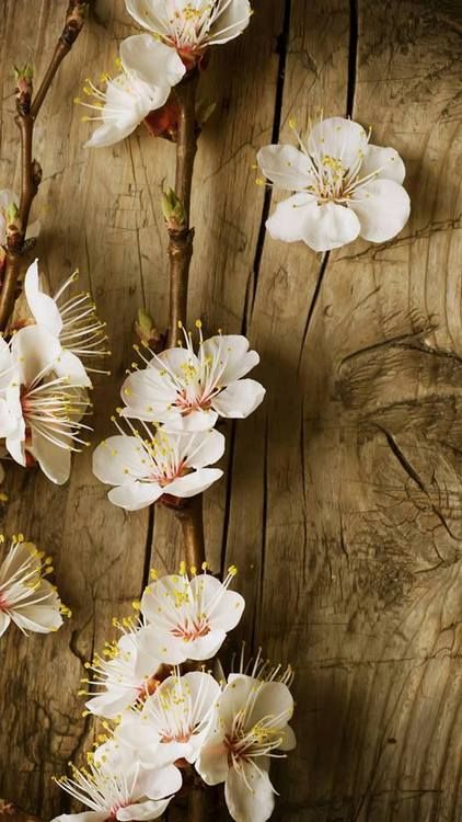 跟着高考状元学五步学习法，再也不用操心孩子的学习