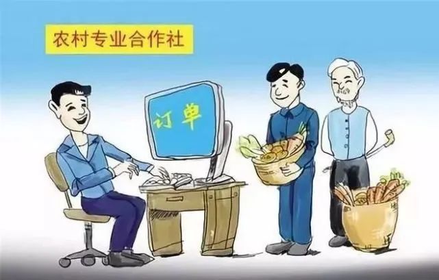 总书记为何倡导农民合作社？——中国农民专业合作社面面观