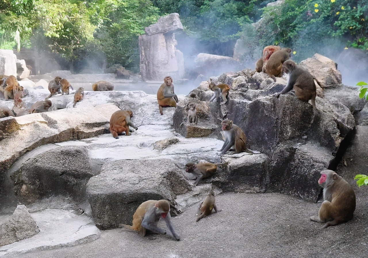 东部海南椰风海韵，如诗如画迷醉游人