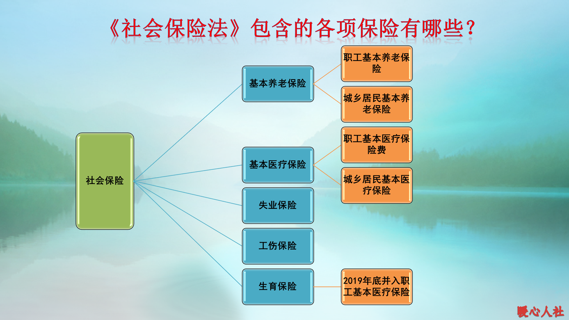 社会保险的种类