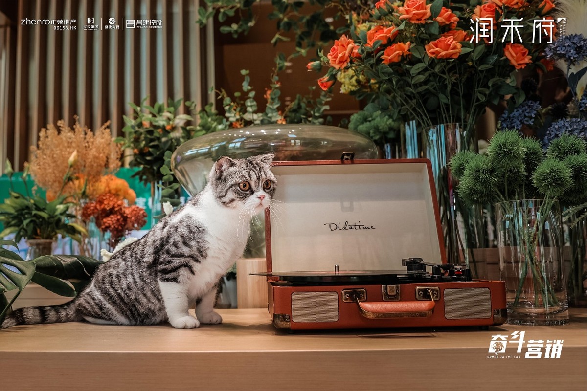 7天！1795组线上来访！热攀一城高峰，润禾府热爆