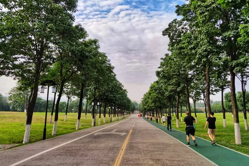 夏天，用9条夜跑线路打卡西安