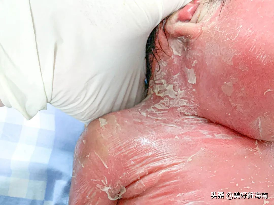 刚出生的小星星经过短暂的思考,星星父母意识到当务之急是尽快让星星