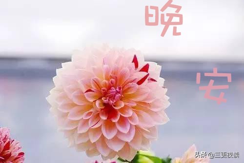 每一滴汗水都是梦想的刻度，深夜不眠的坚持，终将照亮黎明的路。