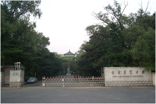 东北中档偏上高校推介：东北林大、东北农大、大连医科、长春理工