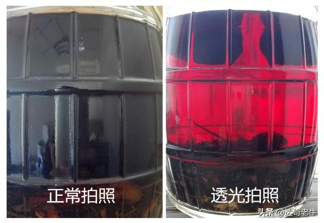 这种药酒能钓鱼吗(药酒可以钓鱼吗)
