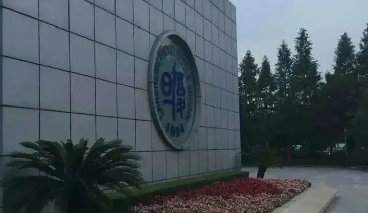 民办摇号下的救心丸！盘点上海四大教育强区的12所热门民办初中