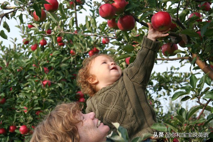 采摘亲子英文+科普—草莓蓝莓、萝卜白菜，谁长地上，谁长藤上？