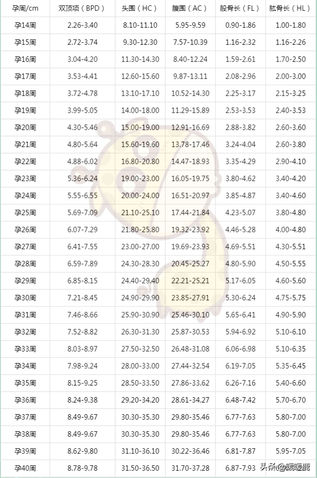 怎么判断胎儿大小，双顶径、股骨长、头围和腹围与孕周对照表