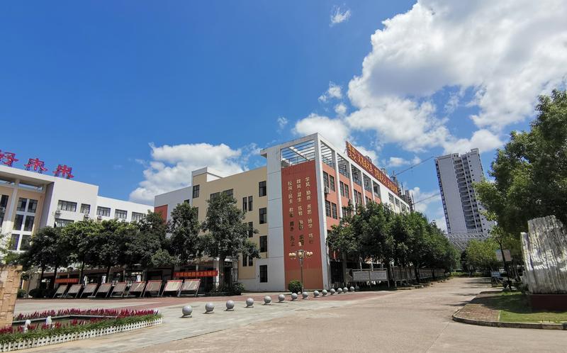 广西崇左四所好高中，民师院附中实力不俗，数度斩获市文、理状元