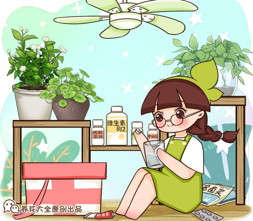 養(yǎng)花總是養(yǎng)不活，6個原因不能忽略，趕緊補救植物才越長越好