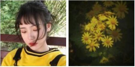 十句让人恍然大悟的句子，句句深入人心