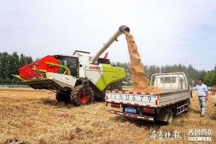 東營(yíng)市麥?zhǔn)占荆骸颁撹F俠”下地，助力“三夏”生產(chǎn)，收、種、管一氣呵成