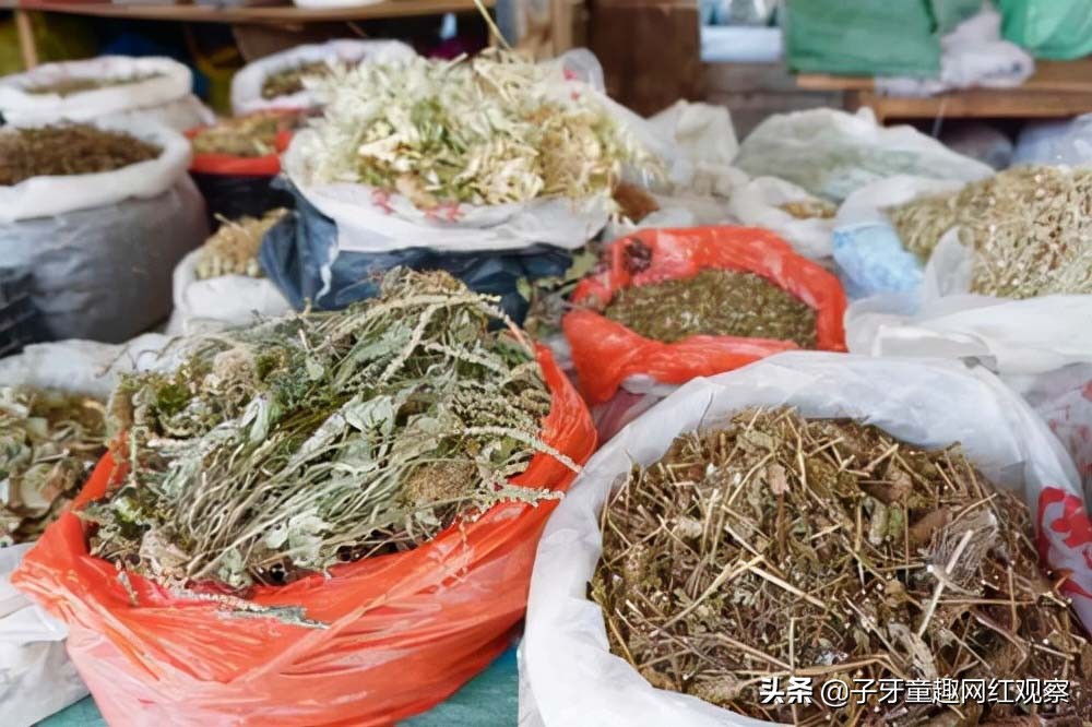 康仔农人：广西半百袖珍老人，他凭什么半年涨粉近千万？