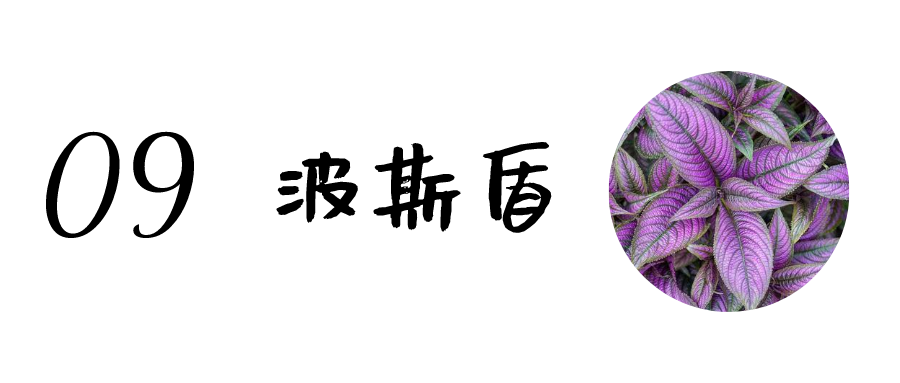 朋友搬家送什么礼物好 乔迁新居送什么（朋友搬家送什么礼物好实用）