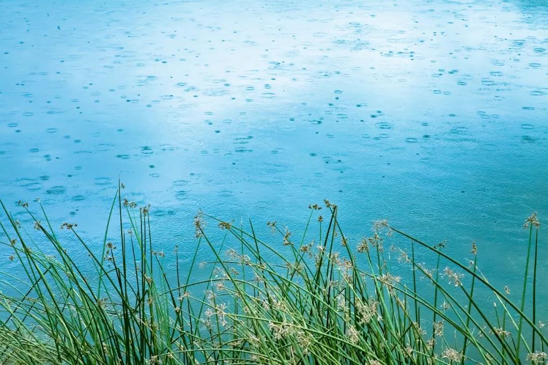 诗意节气︱好雨知时节，当春乃发生