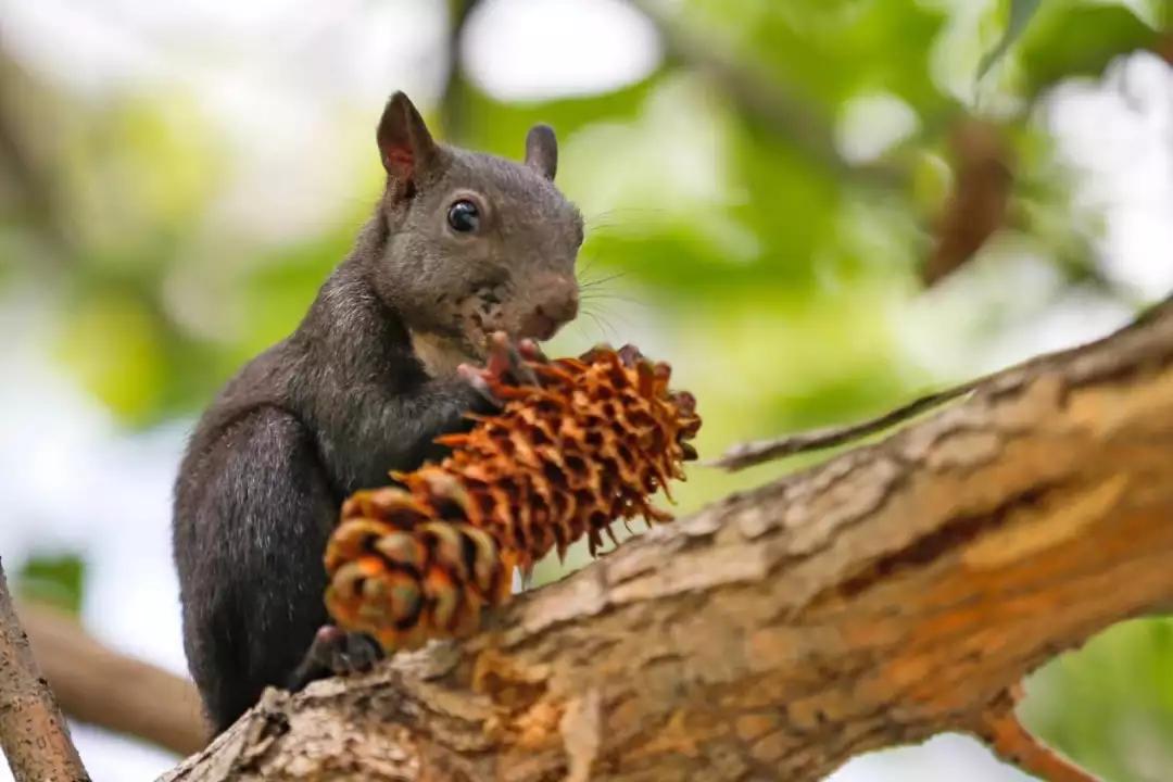 @金钱松东路36号：沈阳体育学院，遇到你真好
