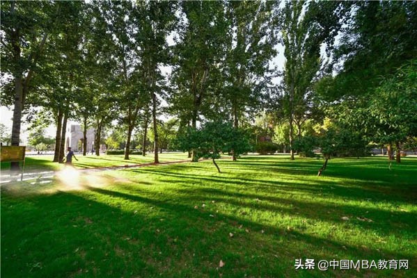 天津大学2020年工商管理硕士（MBA）招生简章