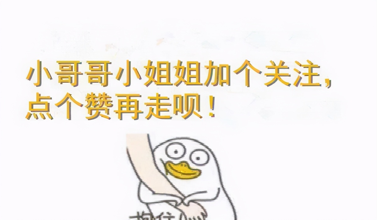 这些事情不要做，在猫咪眼中，就是“不爱它”了