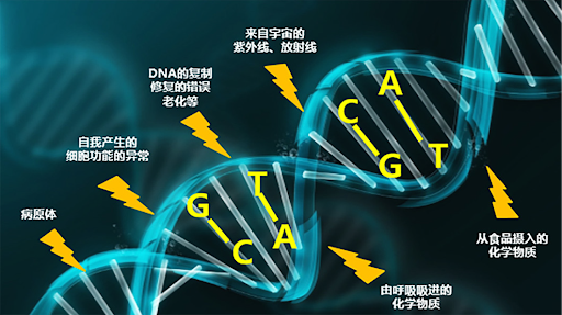 女航天员返回地球后禁止生育？太空环境对人的影响真有这么大吗？