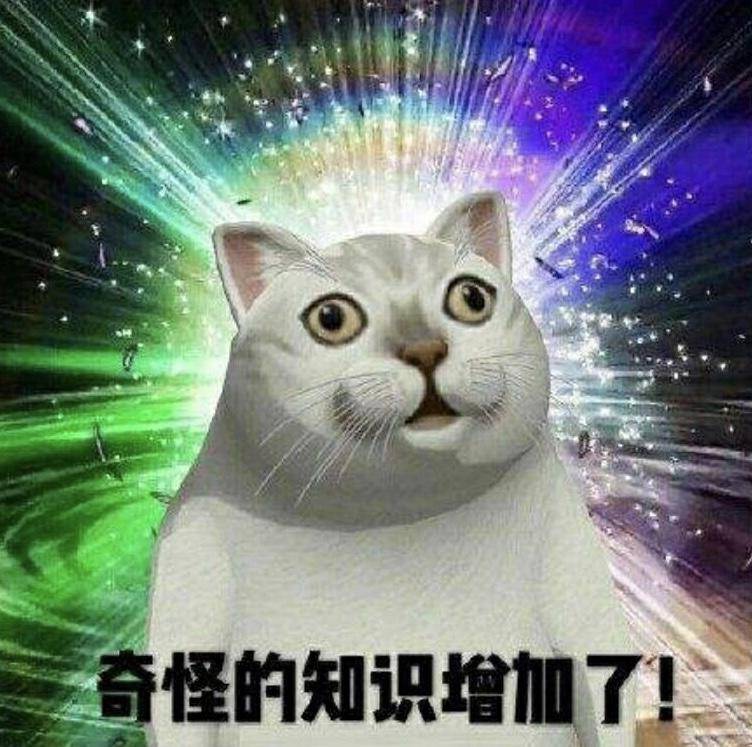 那些“可爱又可恨”的谐音梗