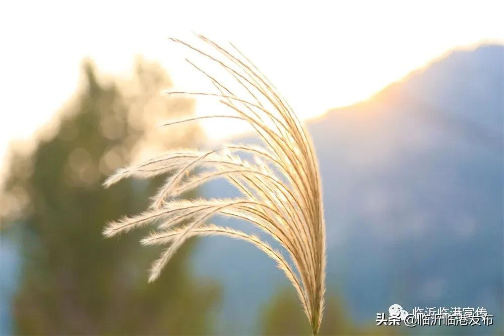 醉美大山空，与初冬的邂逅！