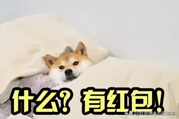 11个奇奇怪怪的隐藏玩法（含撩妹教程）
