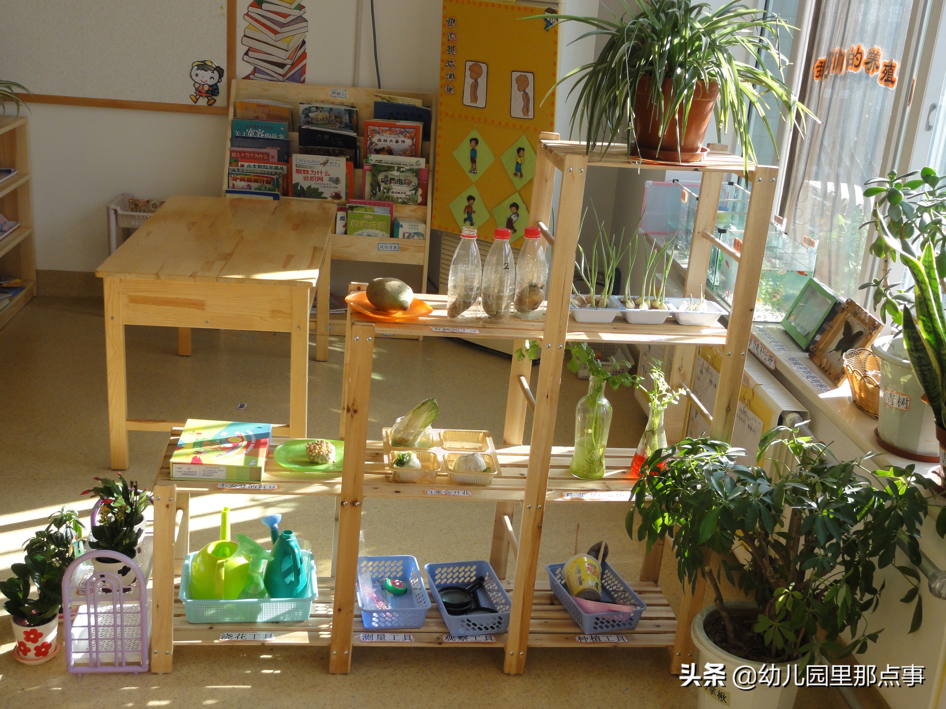 中班语言区角布置图片(小区域里的大世界) - 赤虎壹号