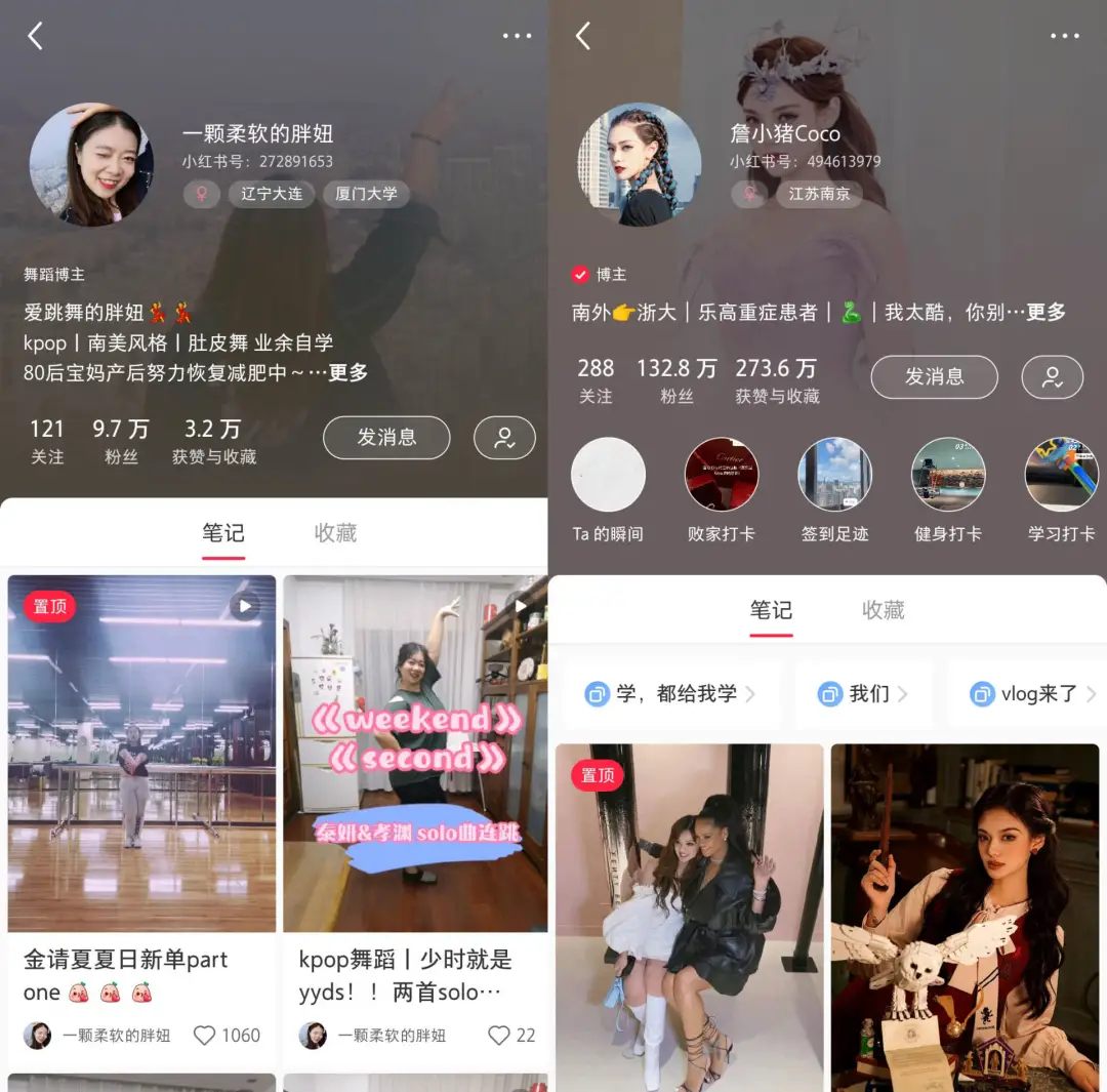 从小红书TOP100博主，看1亿女孩的欲望和迷思