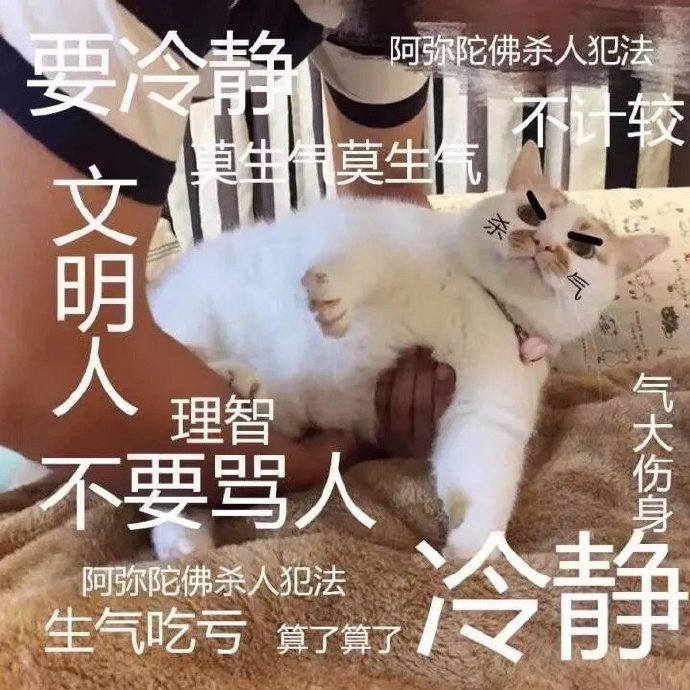 猫咪表情包合集你这是想干嘛呀？