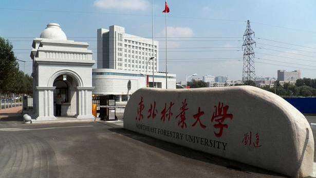 这所双一流院校，占地面积是清华北大的数倍，但地理位置少有人知