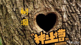 这么多大学生日入几十上百的网上兼职，有哪些是真正靠谱的？