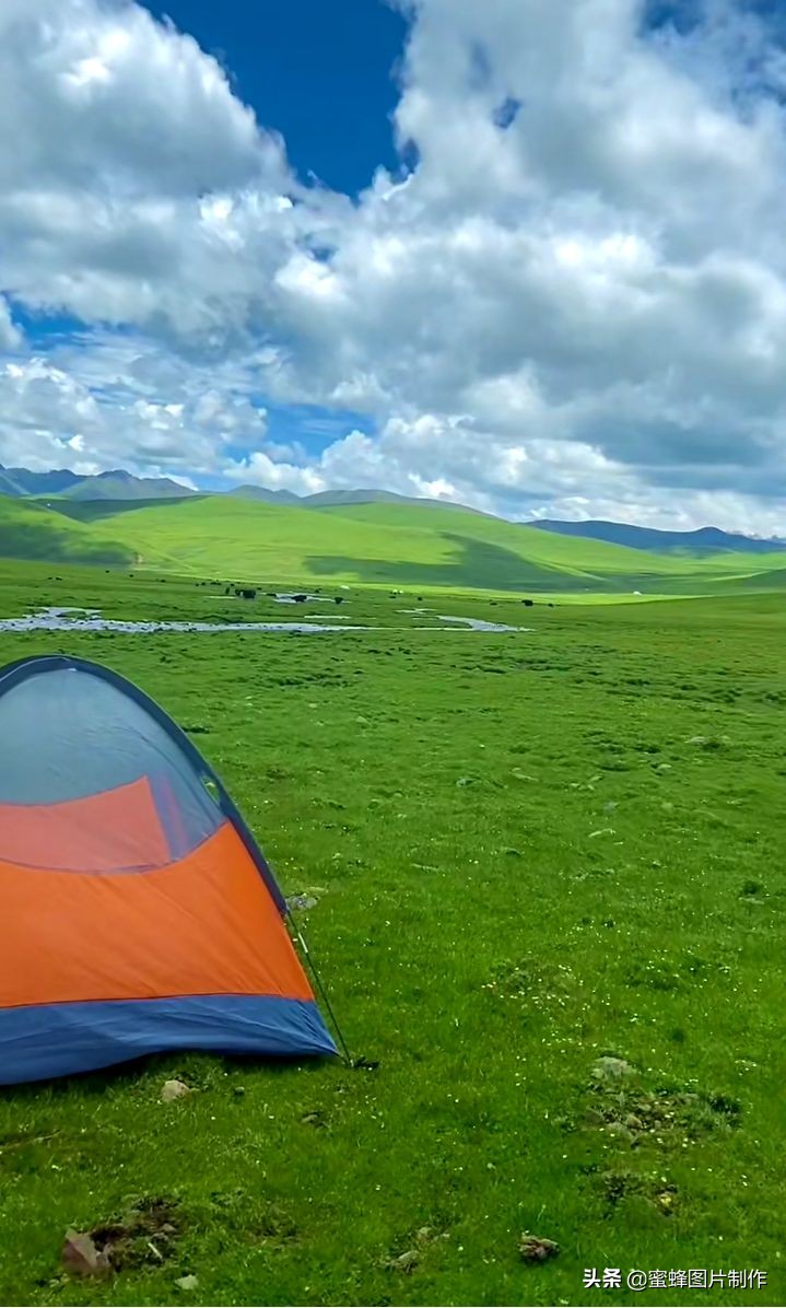 绿色护眼壁纸背景图 无论去哪沿途都是风景
