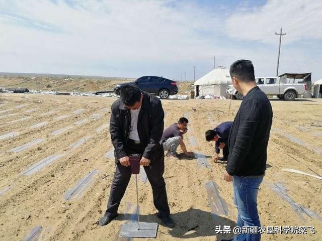 如何利用田间持水量和土壤容重确定滴灌作物一亩地的最大灌溉量？