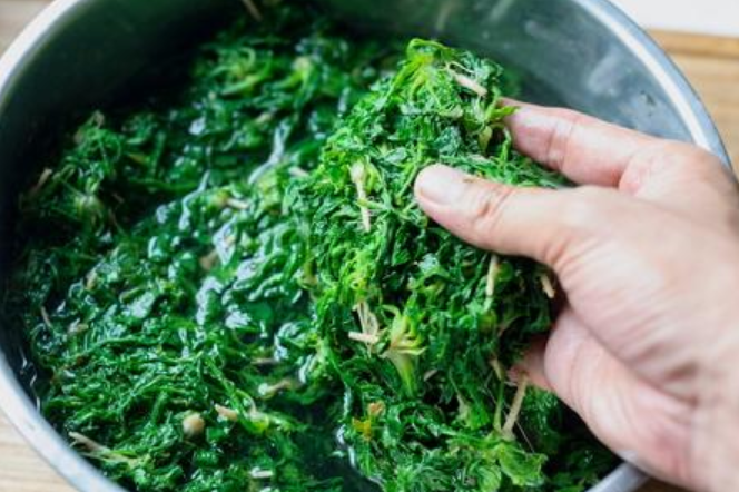 薺菜的做法大全,薺菜的做法大全家常菜