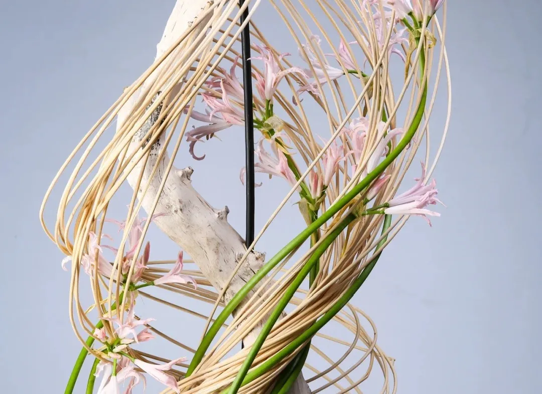 超人气冬季花艺灵感,快来get新玩法