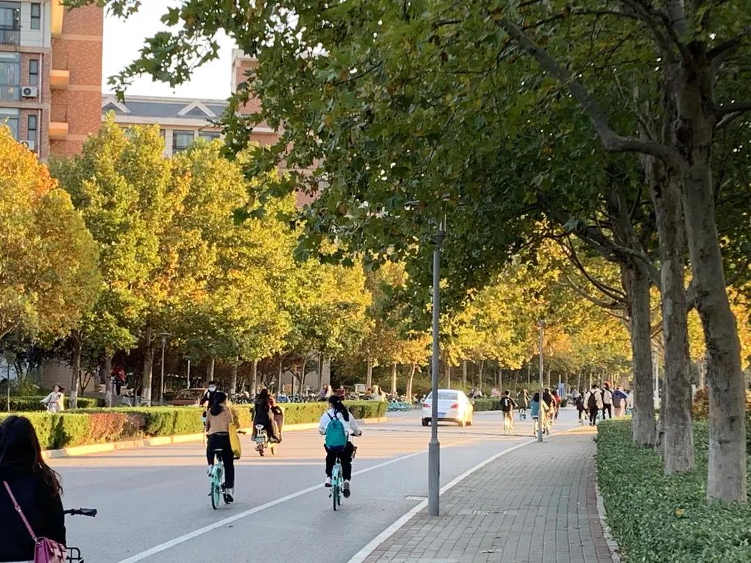 属于你我的，山师四季